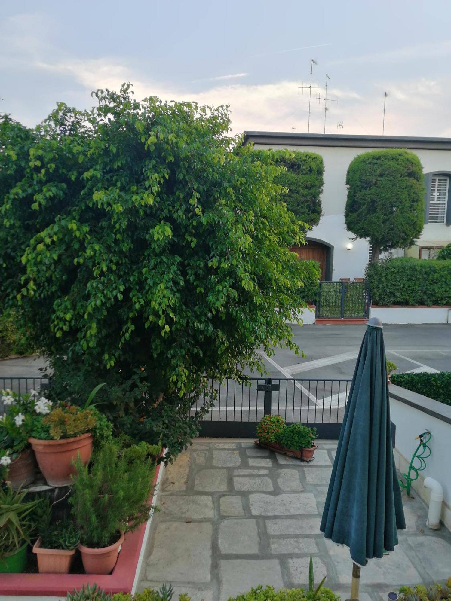 Apartament Marlene Torre A Mare Zewnętrze zdjęcie